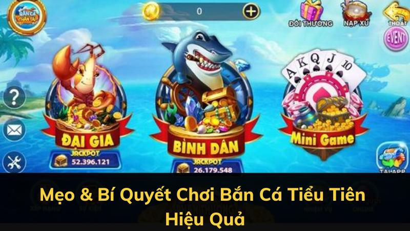 Mẹo & Bí Quyết Chơi Bắn Cá Tiểu Tiên Hiệu Quả