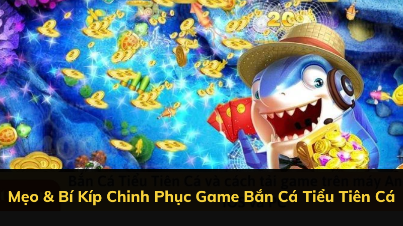 Mẹo & Bí Kíp Chinh Phục Game Bắn Cá Tiểu Tiên Cá