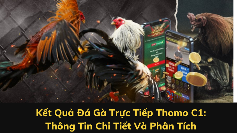 Kết Quả Đá Gà Trực Tiếp Thomo C1: Thông Tin Chi Tiết Và Phân Tích