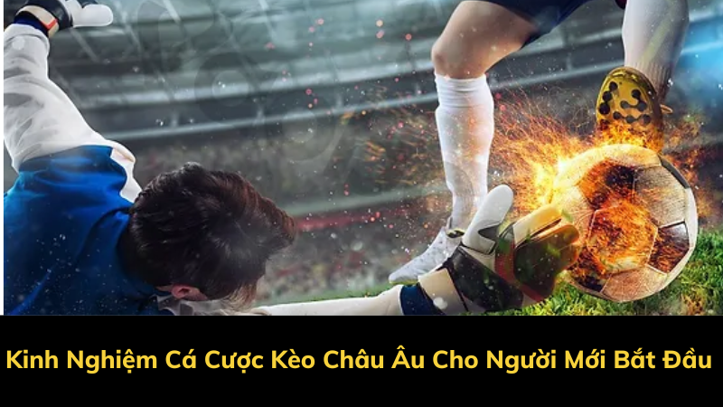 Kinh Nghiệm Cá Cược Kèo Châu Âu Cho Người Mới Bắt Đầu