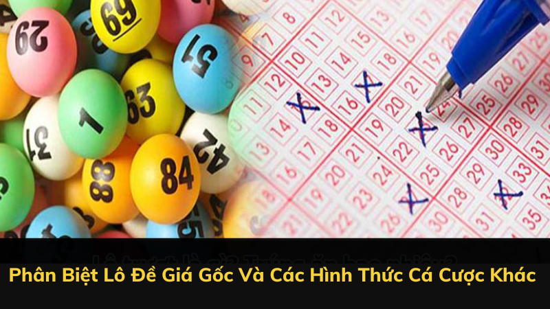 Phân Biệt Lô Đề Giá Gốc Và Các Hình Thức Cá Cược Khác