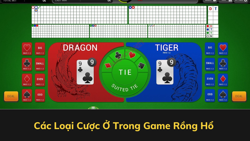 Các Loại Cược Ở Trong Game Rồng Hổ