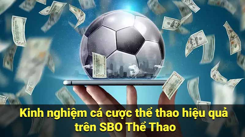 Kinh nghiệm cá cược thể thao hiệu quả trên SBO Thể Thao